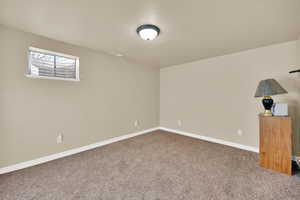 Basement featuring carpet