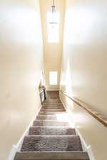 Stairs featuring a towering ceiling and carpet