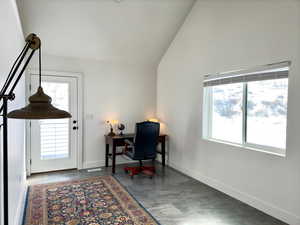 Bedroom featuring high vaulted ceiling