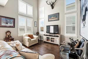 Living room featuring a towering ceiling and dark hardwood / wood-style floors