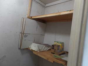 Secured Storage Closet in Garage