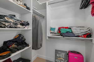 Spacious closet featuring carpet