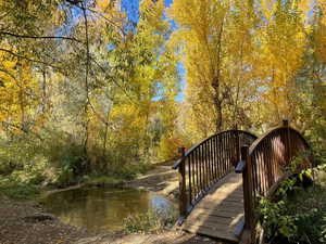 Take the best family photos on the trail