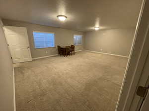 Basement family room