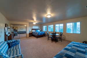 Bedroom with multiple windows, carpet, and ceiling fan