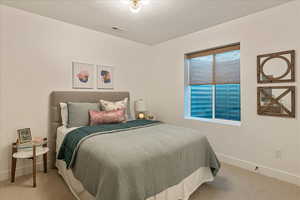 Bedroom with a textured ceiling and carpet