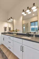 Bathroom with vanity, hardwood / wood-style flooring, and a shower