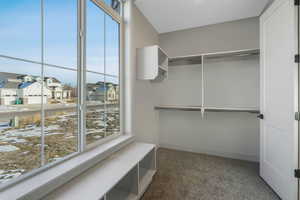 Spacious closet featuring dark carpet