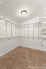 Spacious closet with carpet flooring