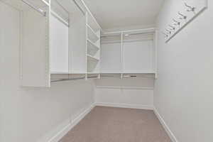 Spacious closet featuring carpet flooring