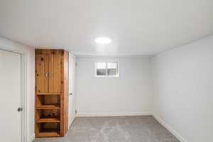 Basement with light colored carpet