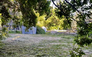 View of yard with a storage unit