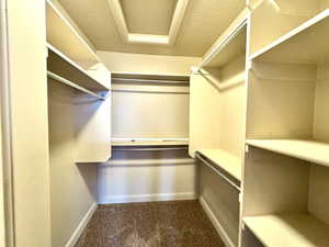 Walk in closet with carpet floors