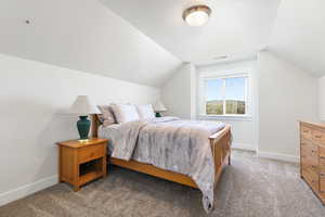 Carpeted bedroom with vaulted ceiling