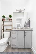 Bathroom featuring vanity, hardwood / wood-style floors, and toilet