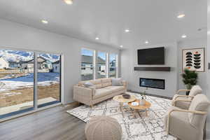 Living room with wood-type flooring