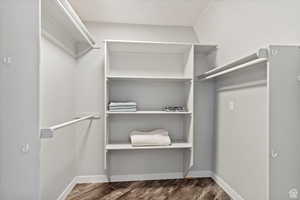 Walk in closet featuring dark wood-type flooring