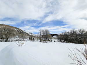 Mountain view
