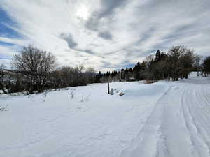 View of yard layered in snow