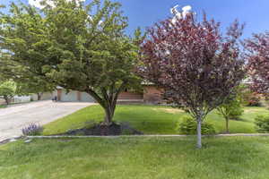 View of property with a garage and a front yard