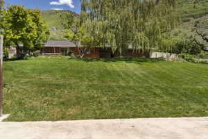 View of yard with a mountain view