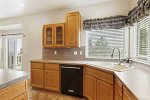 Kitchen featuring a healthy amount of sunlight, black dishwasher, sink, and backsplash