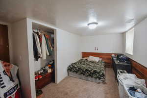 Carpeted bedroom with a closet and wood walls