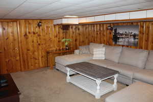 Living room basement featuring wooden walls