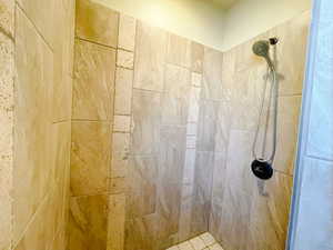 Interior details with tiled shower