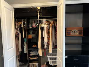 View of one of the lighted closets with built in organizer.