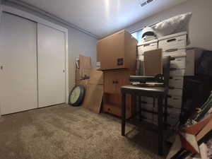 Basement with carpet