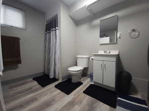 Bathroom with hardwood / wood-style flooring, vanity, toilet, and curtained shower