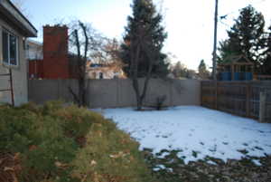 View of snowy yard