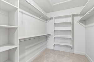 Spacious closet featuring light carpet