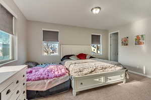 Bedroom with light colored carpet