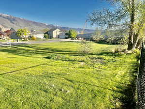 View of yard with a residential view and a mountain view