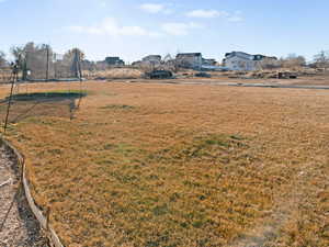 View of back yard with a trampoline