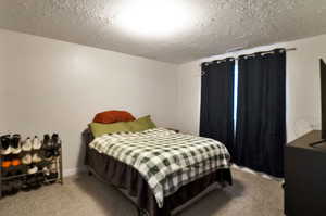 Basement Bedroom