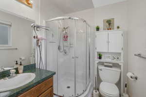 Bathroom featuring vanity, an enclosed shower, and toilet