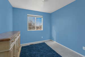 View of carpeted spare room