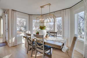 Dining room featuring a healthy amount of sunlight, a notable chandelier, and light hardwood / wood-style flooring