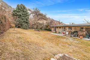 View of yard with a mountain view and a patio area