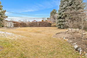 View of yard featuring a shed