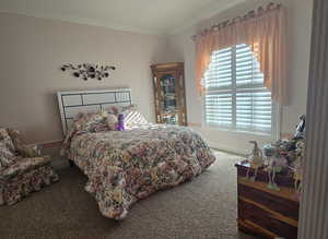 Bedroom featuring ornamental molding and carpet flooring