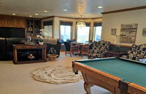 Recreation room with ornamental molding and carpet floors