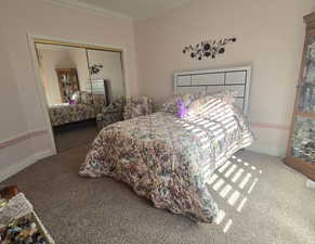 Bedroom with crown molding, carpet floors, and a closet