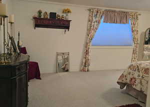 Bedroom with crown molding and carpet floors