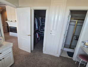 Interior space with vanity, an enclosed shower, and a fireplace