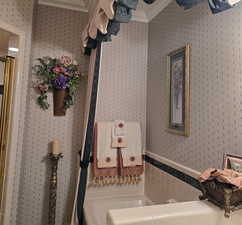 Bathroom featuring ornamental molding and a washtub