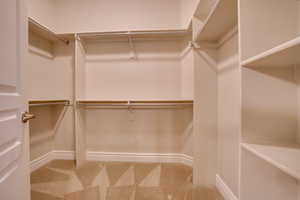 Spacious closet featuring carpet